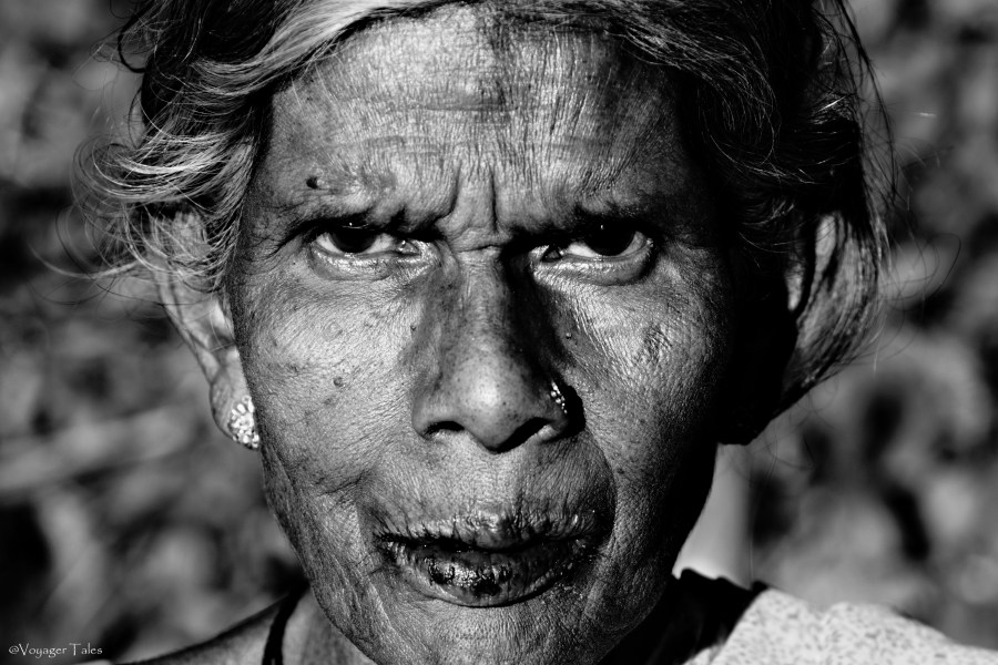 في زَمن الطيبة –&nbsp;سريلانكا