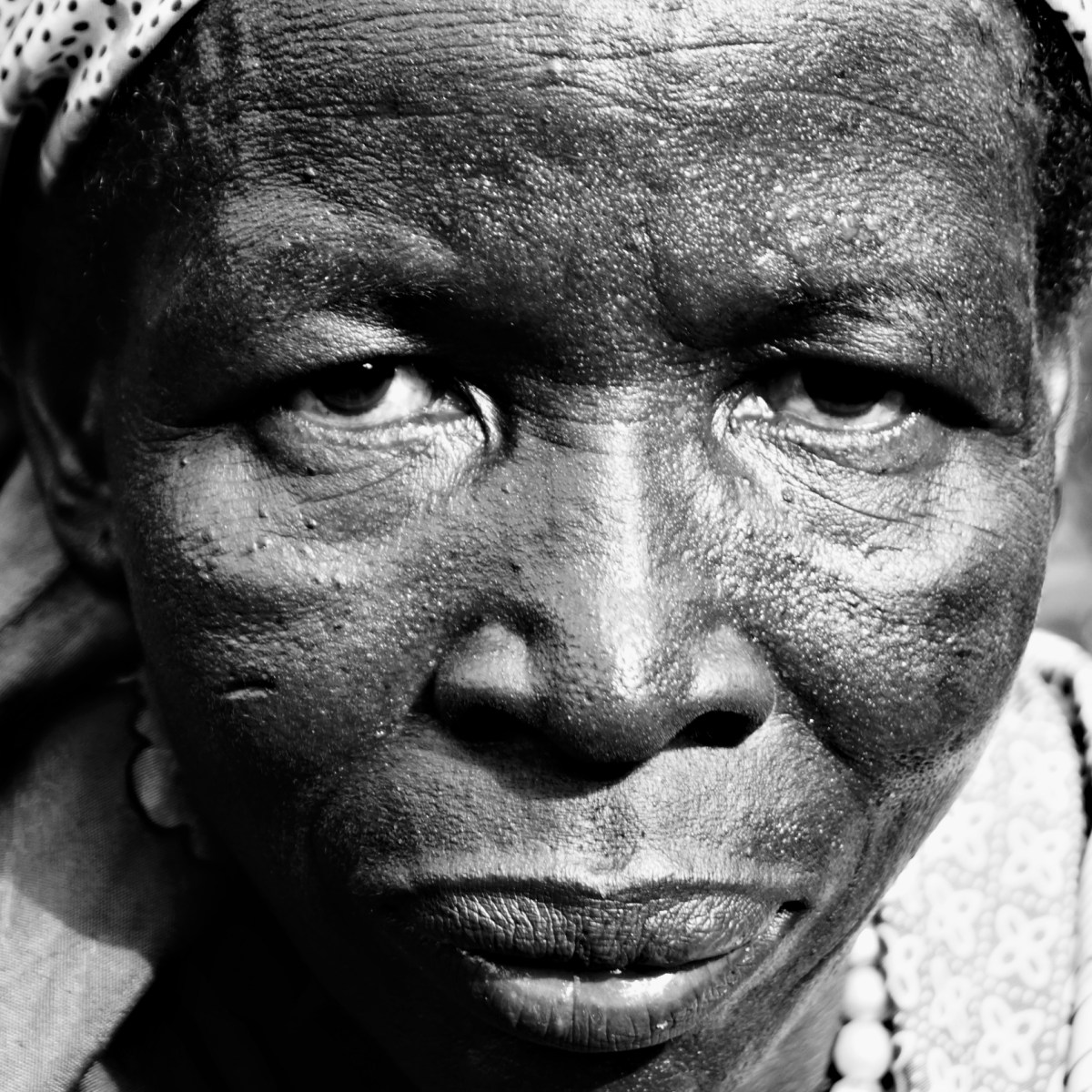 الآلهة النائمون