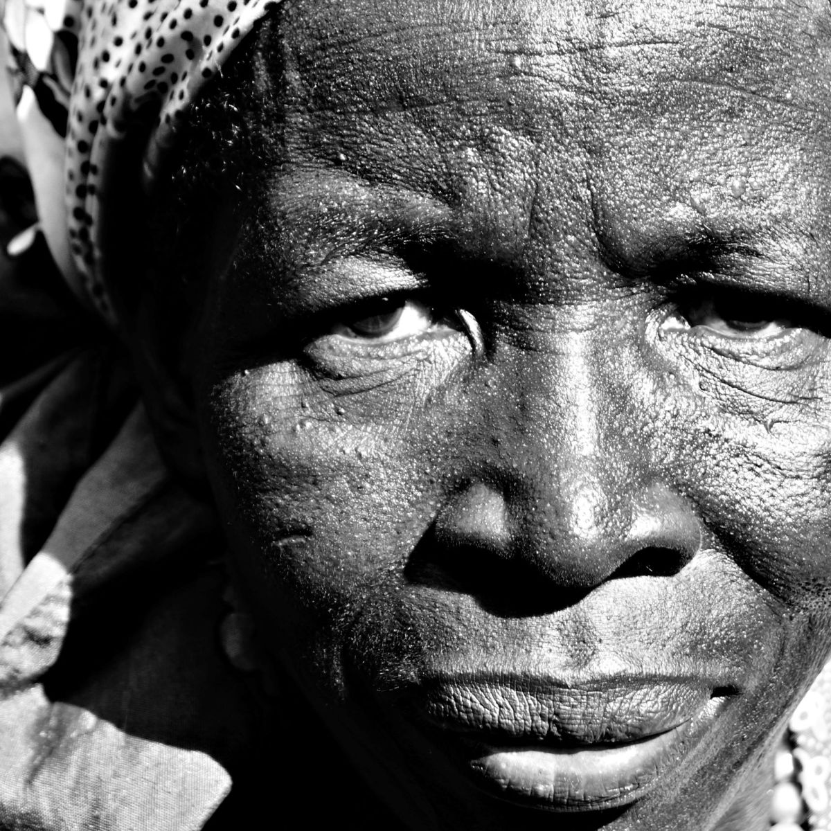 الآلهةُ النائمون